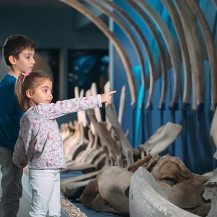 Museum & Geschichte