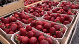 Frisches Obst auf dem Wochenmarkt