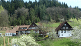 Blick zum Ferienhof Fischer