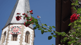 Jakobus Stadtkirche Brackenheim