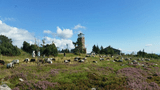 Hornisgrinde copyright Tourist-Info. Seebach