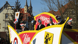 Faschingsumzug Bad Wimpfen