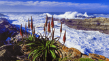 Storms River - Tsitsikamma Nationalpark