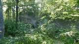 Ruine Holstein