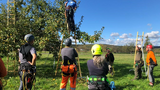 SKT Kurs K furt Kursleiter im Baum 2