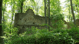 Ruine Stetten
