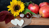Pixabay_Frauke_Riether_neelam279_apples-7489262_960_720.jpg