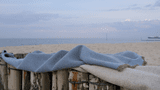 Coastlandwool-Wolldecken_am_Meer.jpg