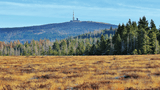 Brocken_Torhaus_Moor