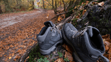 Teutoburger_Wald_Detmold_B.Fromberger_Detailaufnahme_Wandern_CCBYSA (21).jpg