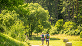 Wandern in der Nordeifel