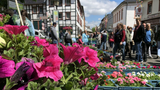 Blumen-, Kleintier- und Bauernmarkt