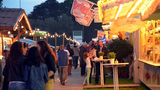 Ellernfest Rastede 2012 -24.jpg