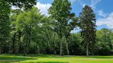 Kurpark Bad Waldliesborn