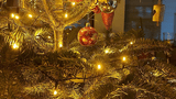 Weihnachtsbaum (c) Theißen-Braun