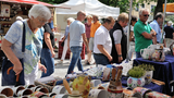Sälzermarkt Bad Sassendorf