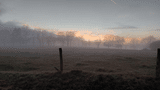 Winterstimmung Nebel Langschoss(co) Theißen-Braun