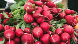 radish-6148188_1280pixabay