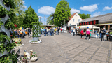 Maifest