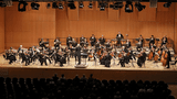 Heilbronner Sinfonie Orchester