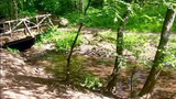 Wälder und Täler abseits vom Alltagsstress.docx.png