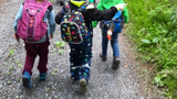 wald3