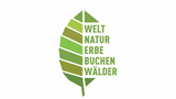 Logo Weltnaturerbe Buchenwälder
