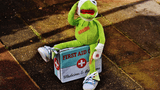 VA-Erste-Hilfe-Kids-Kermit.jpg