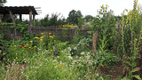 Naturgarten Blumberger Mühle