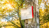 Wanderschild_web.jpg
