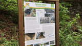 Infotafel an der Veleda Höhle in Bestwig-Velmede