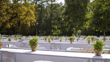 Dinner Picknick im Bernauer Stadtpark