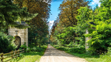 Allee nach Carinhall