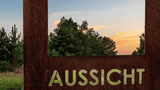 Aussicht Wildnis - ein ehemaliger Truppenübungsplatz