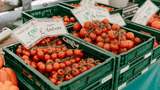 Tomaten vom Bauernmarkt