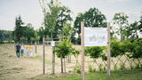 Spaziergang im Obstlehrgarten
