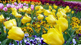 Blumen