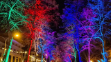 Lichternacht