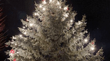 Tannenbaum