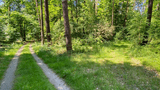 Wanderweg