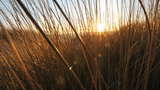 sunset-on-juist.jpg