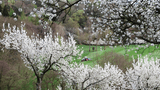 Streuobst und Landwirtschaft im Naturpark Münden