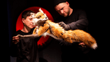 Als die Tiere den Wald verließen - Figurentheater Osnabrück