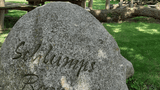 Schlumps Backs