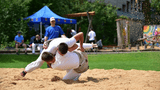 Pixabay_piundco-sports-4119573_1280_Ringkampf_Borgholzhausen.jpg