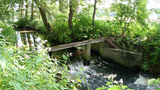 Teutoburger Wald, Verl, Ölbach, M. Lauterbach