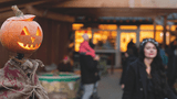 Halloween im Wingster Waldzoo