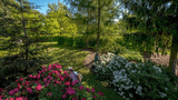 20180508-0139.jpg