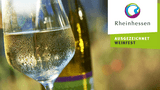 Wein der Vino Generation