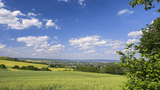 Tolle Landschaft in der Pellenz